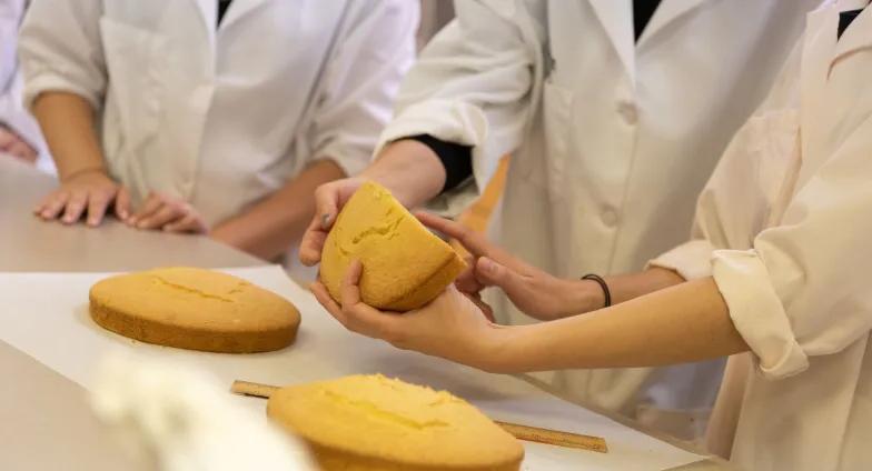 Students working in food lab